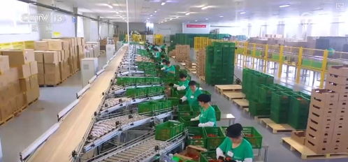 長(zhǎng)沙軟件開(kāi)發(fā)在推動(dòng)農(nóng)業(yè)適度規(guī)模經(jīng)營(yíng)與促進(jìn)小農(nóng)戶融入現(xiàn)代農(nóng)業(yè)中的作用