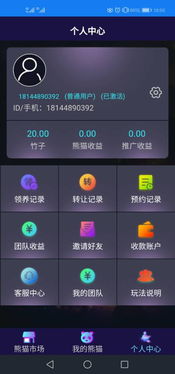 區(qū)塊熊貓金坊系統(tǒng)軟件開發(fā)方案